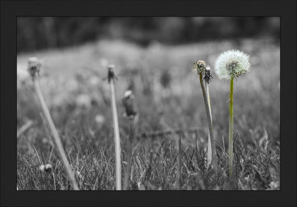 Against the Grey