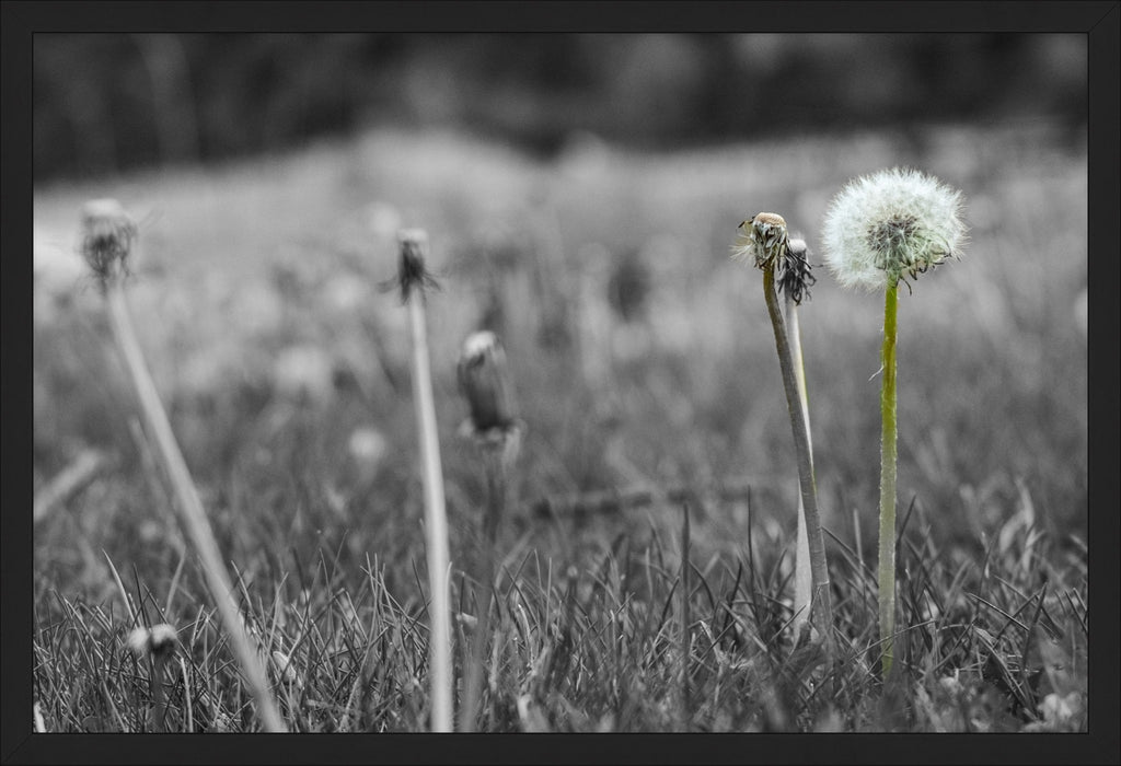 Against the Grey
