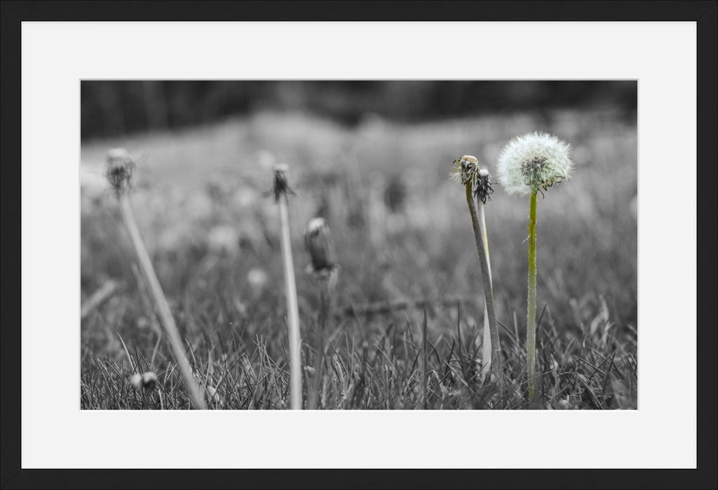 Against the Grey