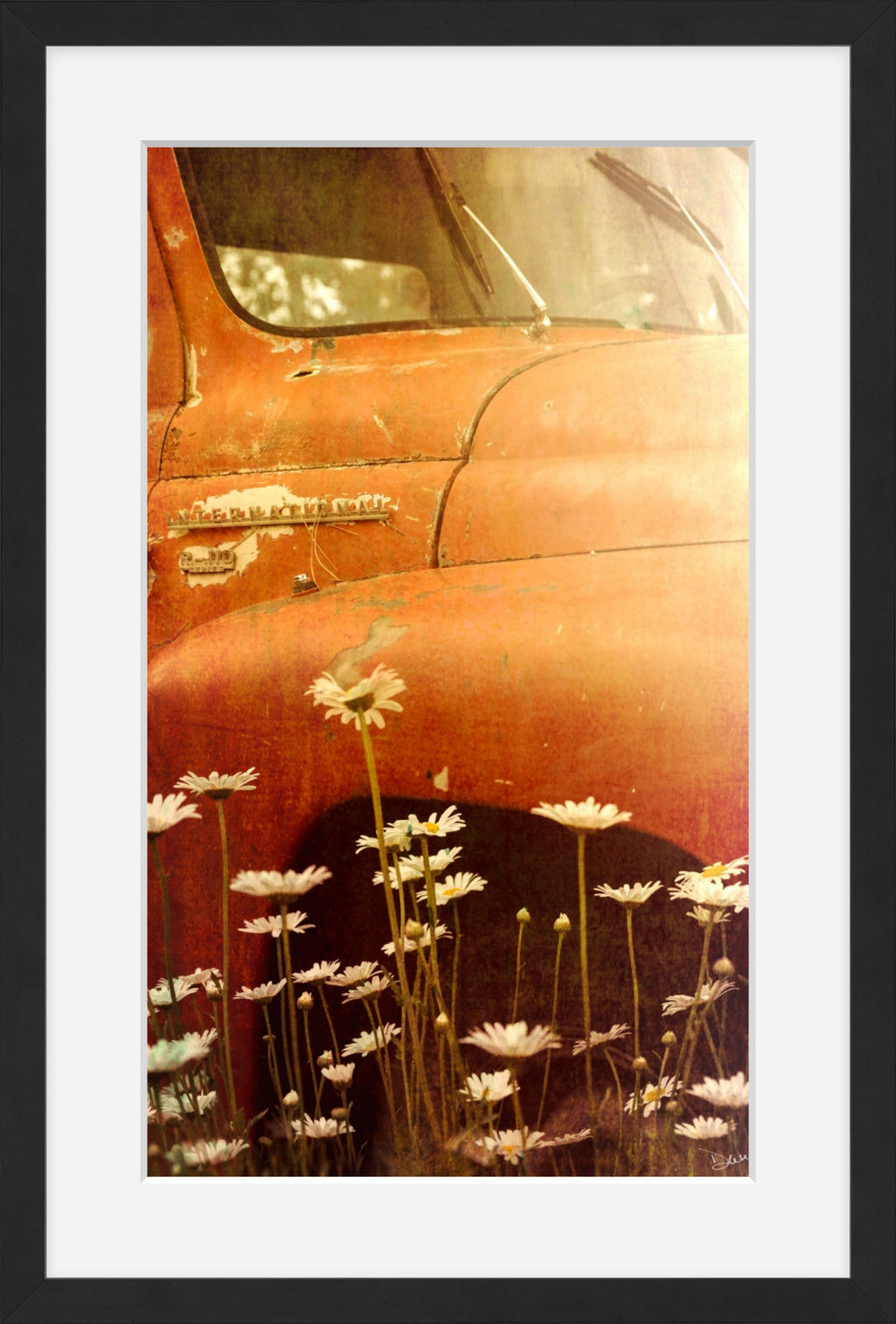 Rust and Petals