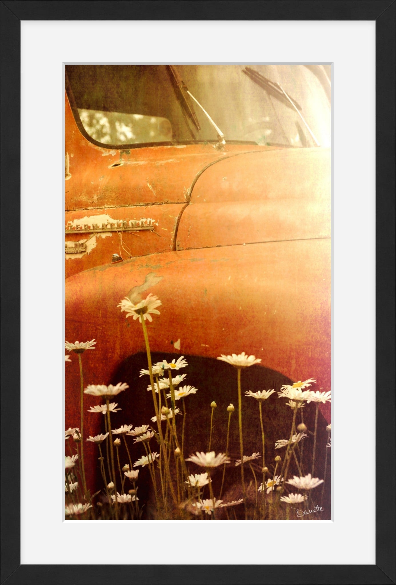 Rust and Petals
