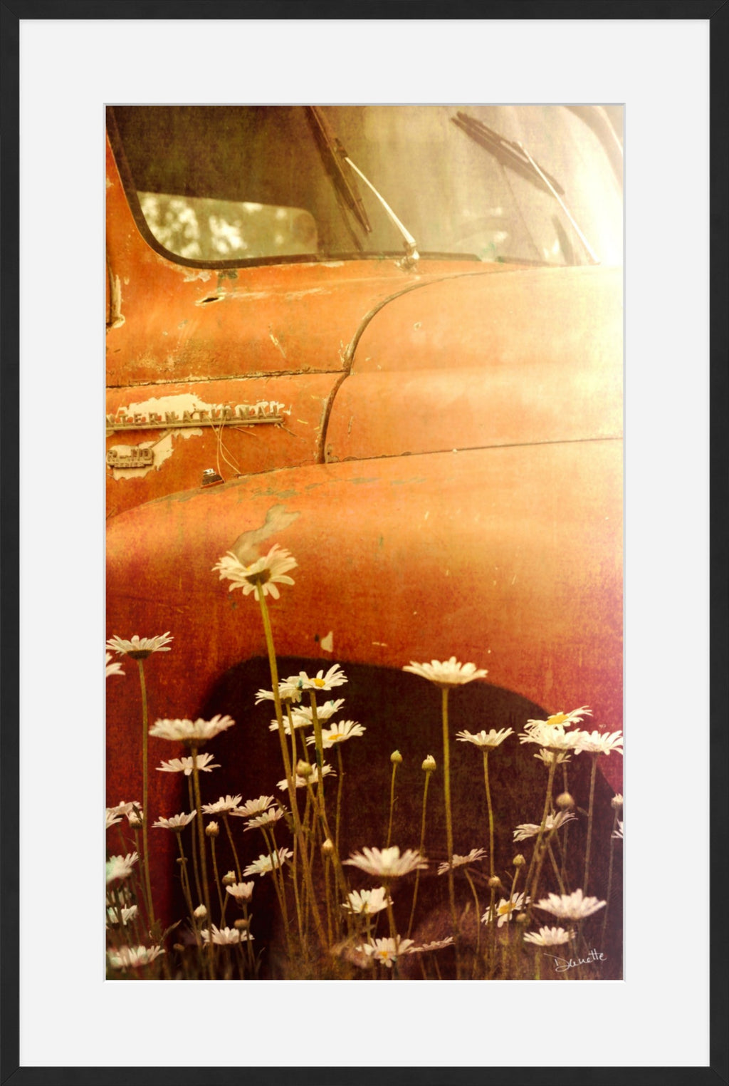 Rust and Petals