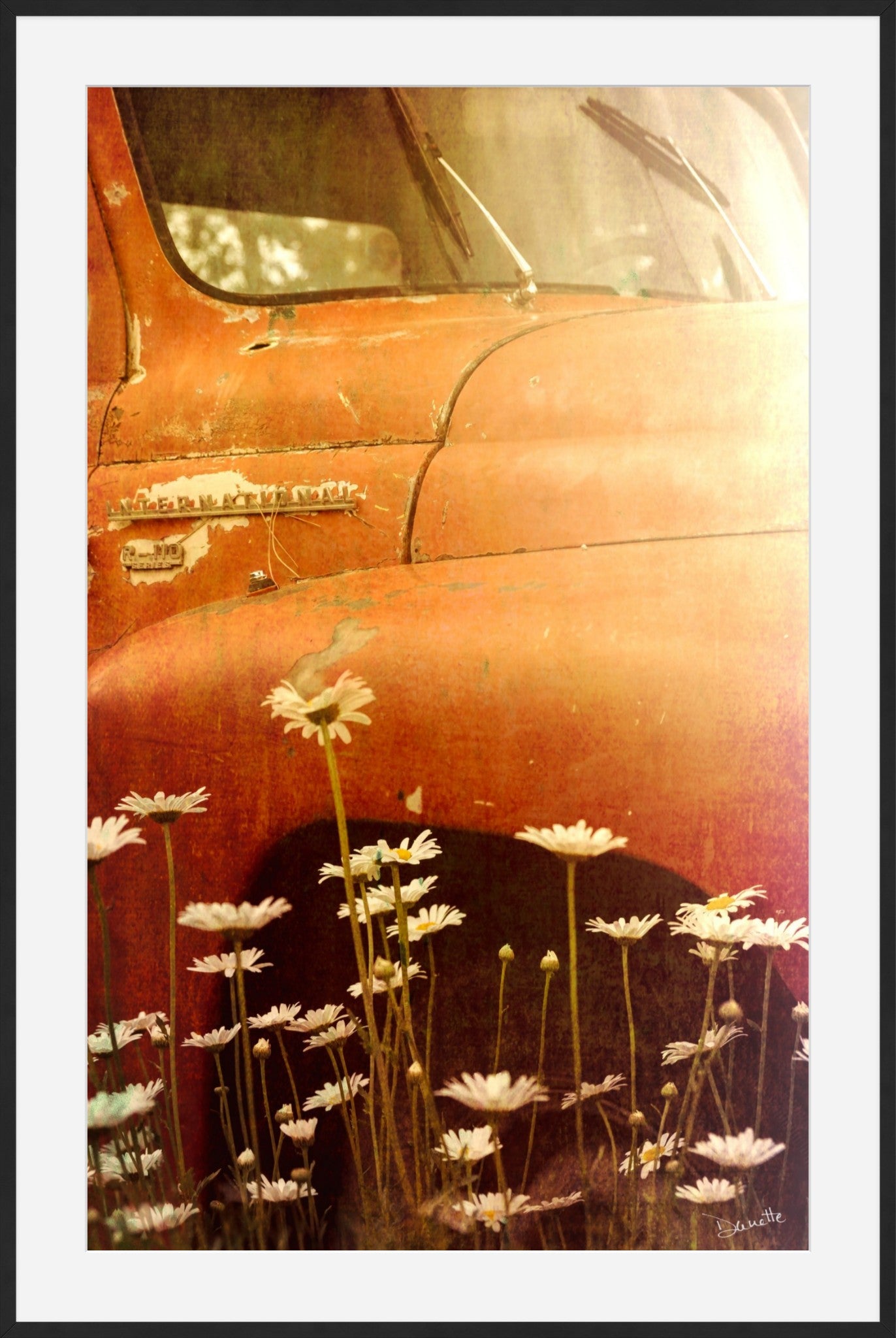 Rust and Petals