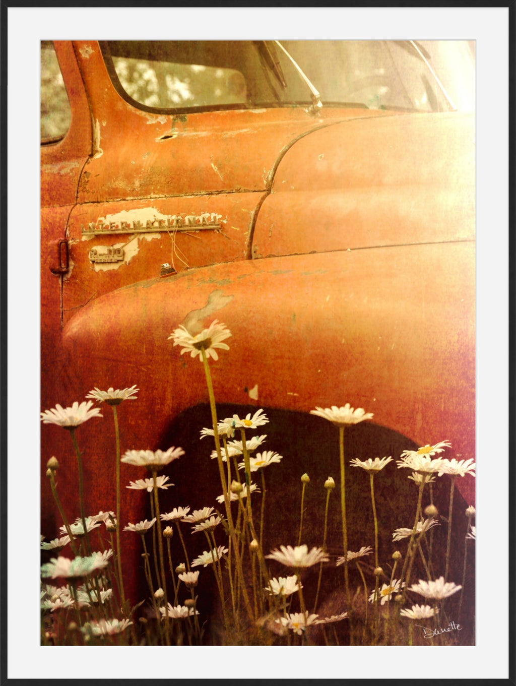 Rust and Petals
