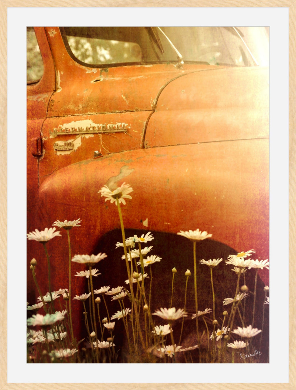 Rust and Petals