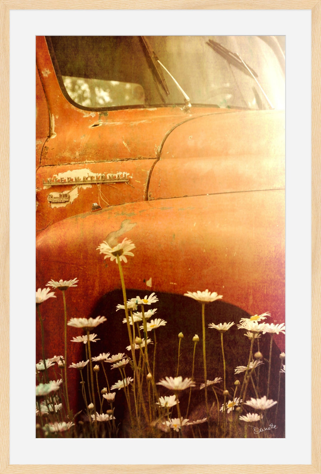 Rust and Petals