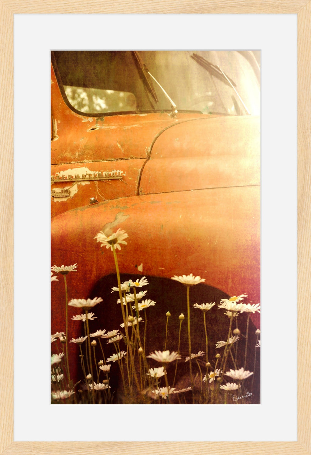 Rust and Petals