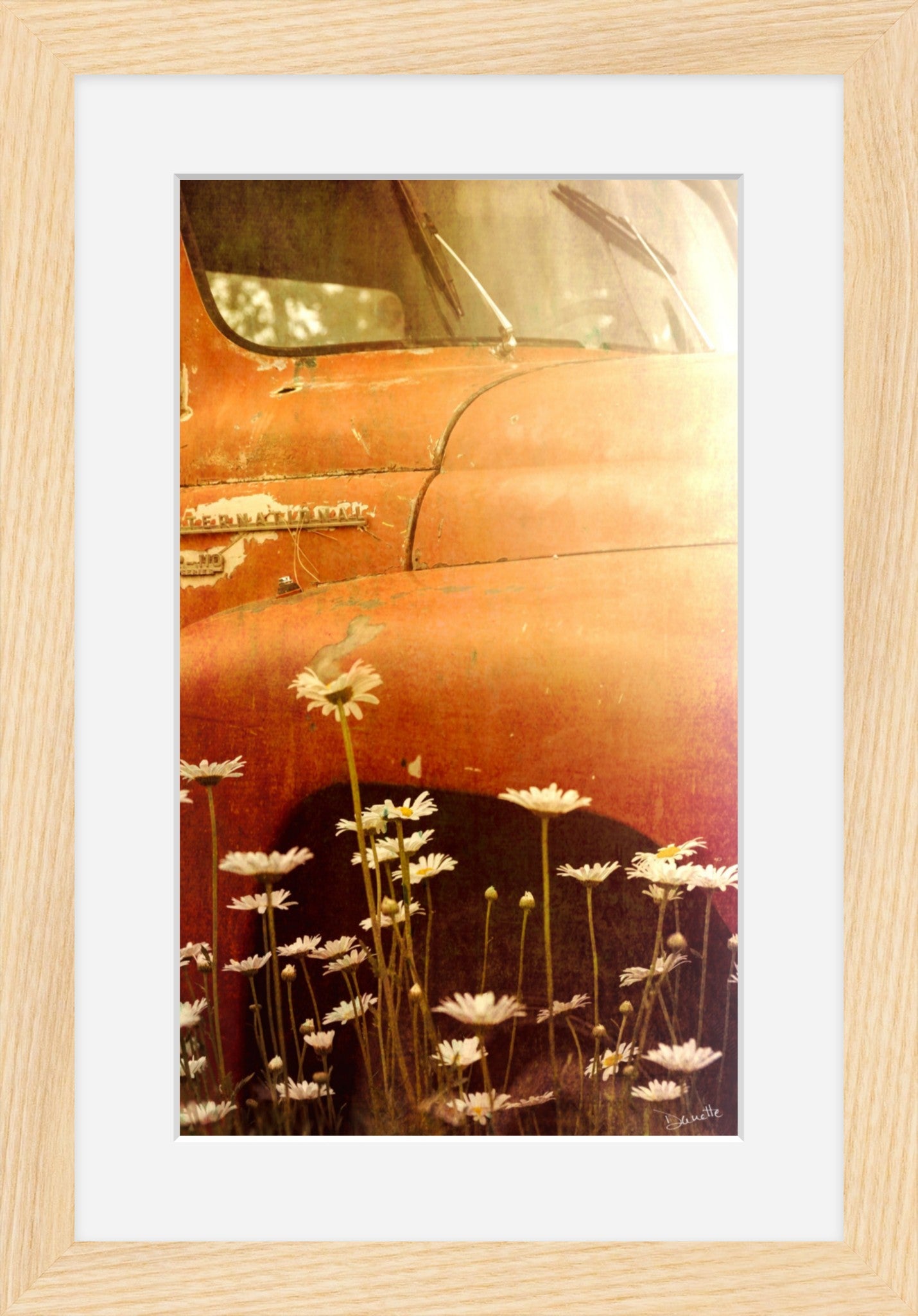 Rust and Petals