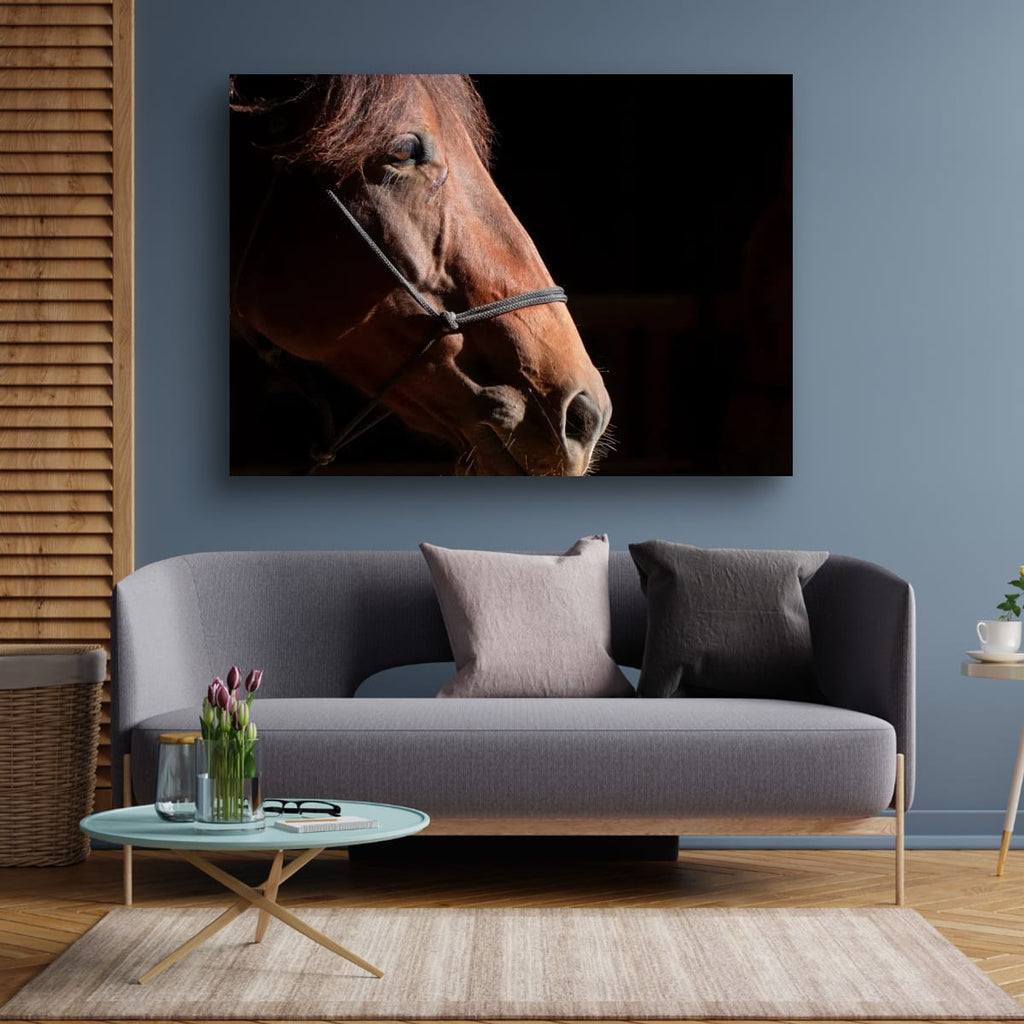 Ruth A Quiet Portrait of Equine Grace