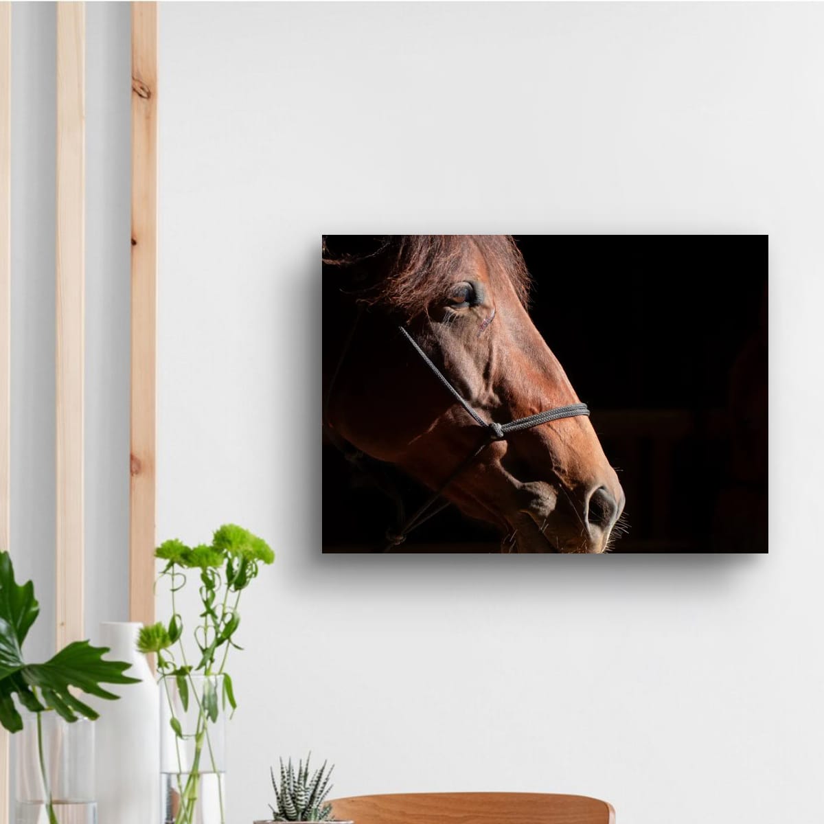 Ruth A Quiet Portrait of Equine Grace