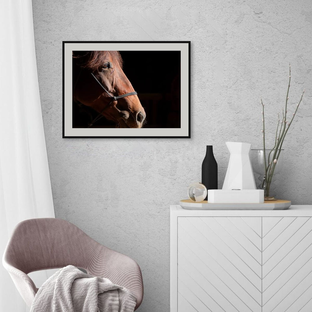 Ruth A Quiet Portrait of Equine Grace